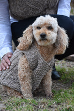Cargar imagen en el visor de la galería, Mini Vest para mascotas