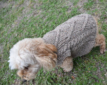 Cargar imagen en el visor de la galería, Mini Vest para mascotas
