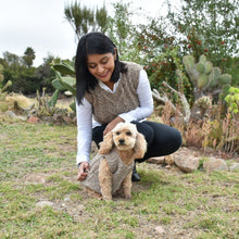 Cargar imagen en el visor de la galería, Mini Vest para mascotas
