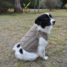 Cargar imagen en el visor de la galería, Mini Vest para mascotas
