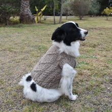 Cargar imagen en el visor de la galería, Mini Vest para mascotas
