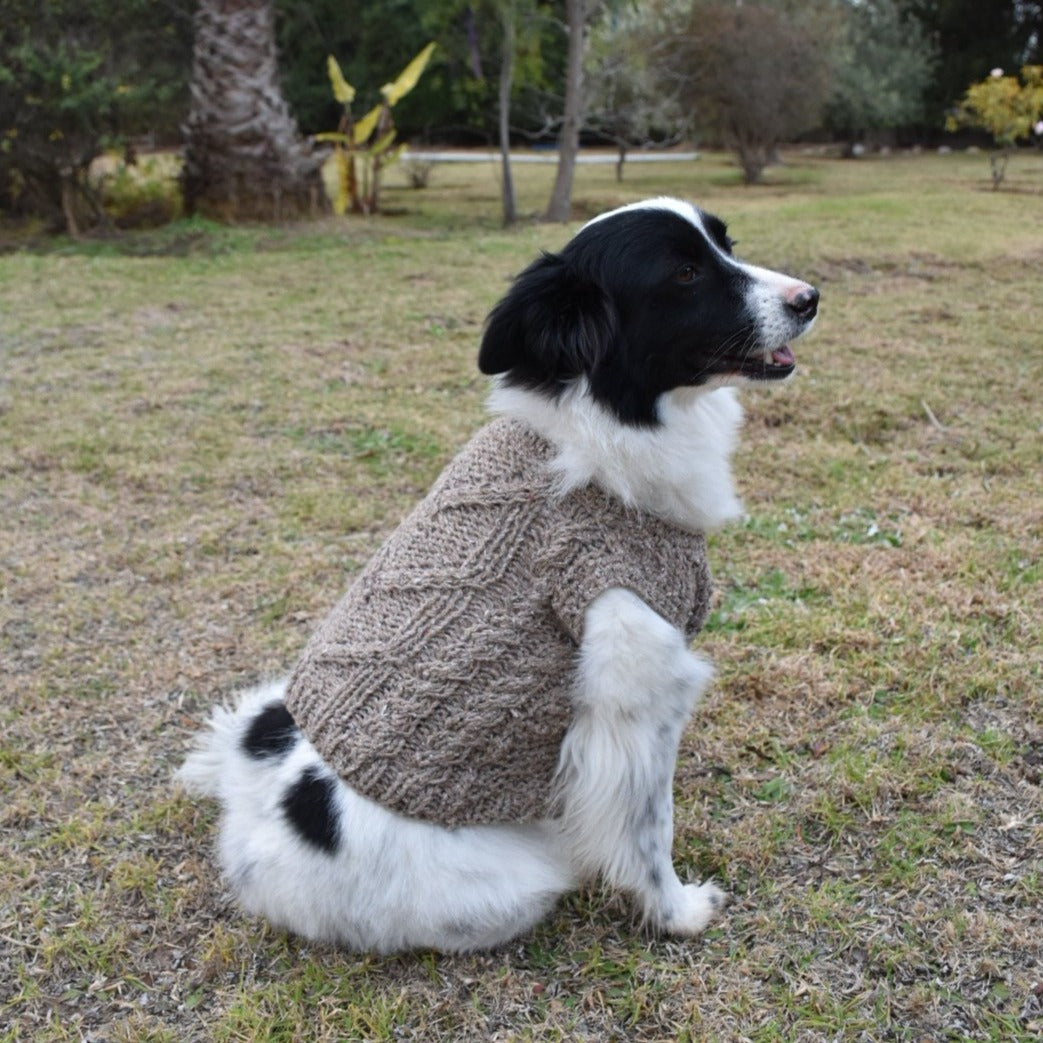 Mini Vest para mascotas